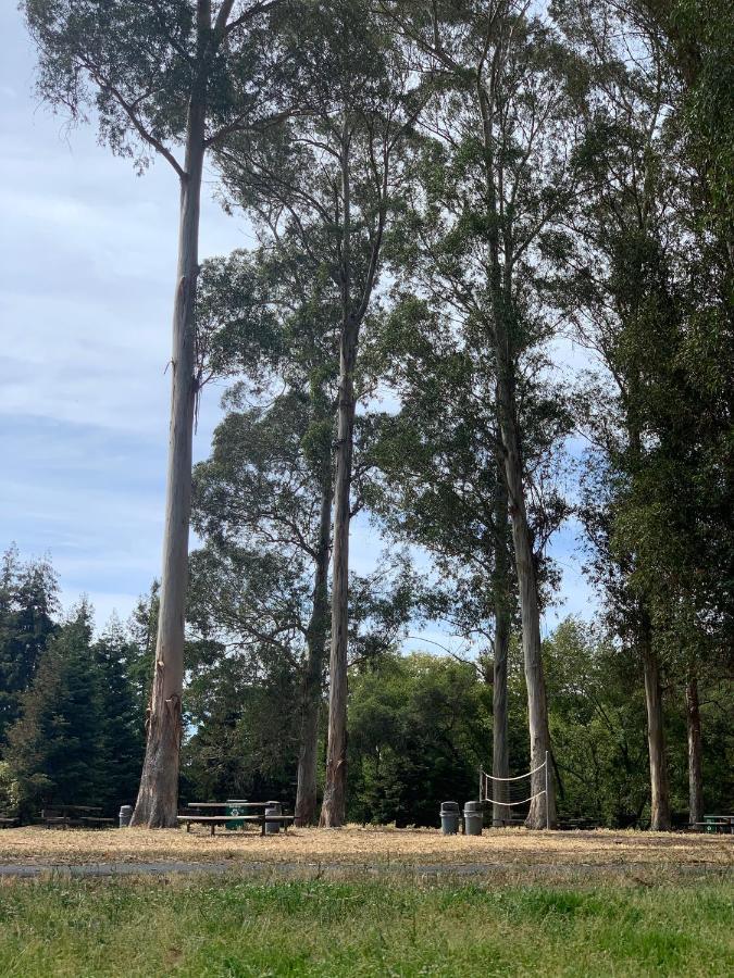 Your Most Romantic And Peaceful Getaway El Sobrante Esterno foto